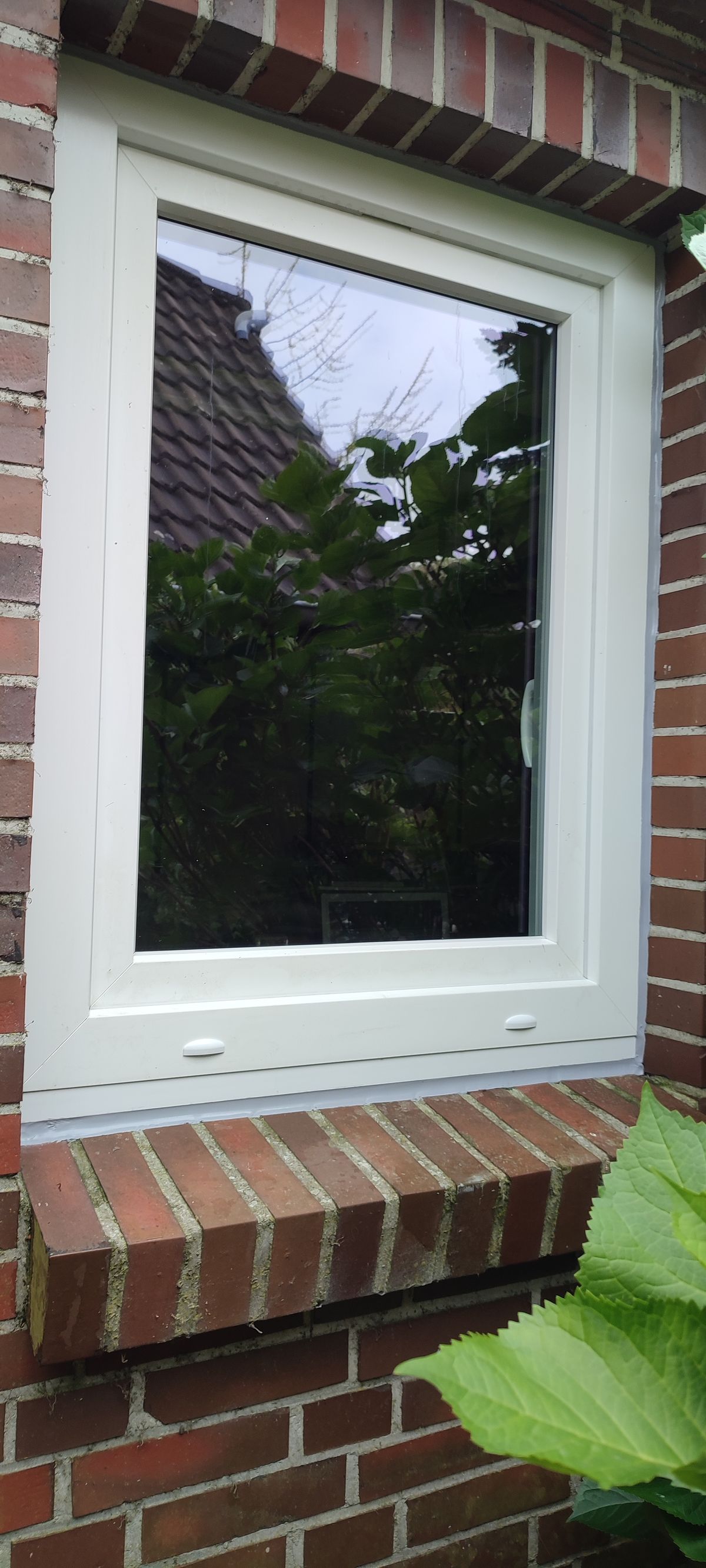 Fenster einstellen Schortens
